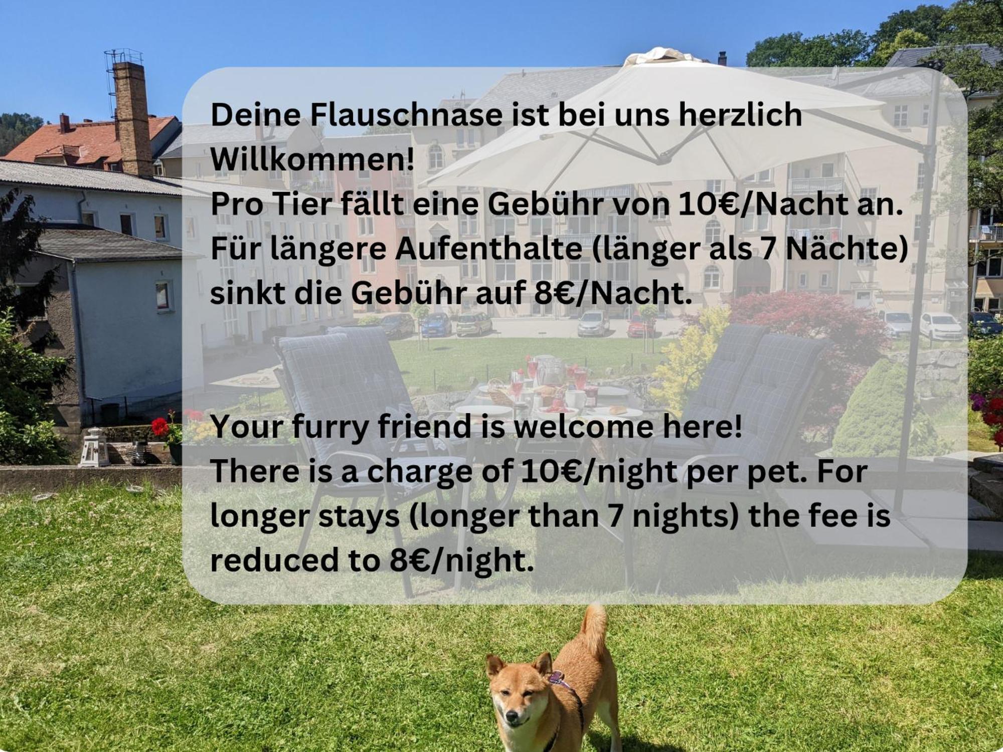 Hw2 - Urlaubsmagie - Sauna & Whirlpool Fuer Alle 赛博尼茨 外观 照片